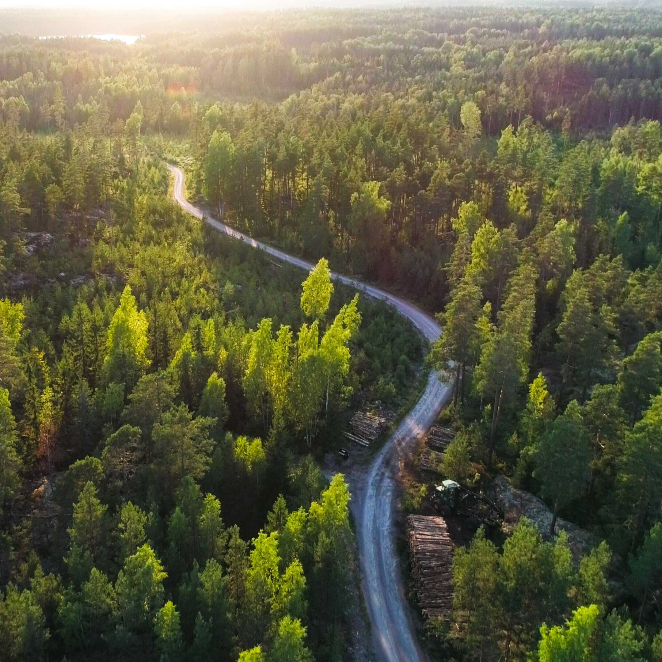 Nachhaltigkeit_CSR_Wald_Straße_Tyczka_1:1